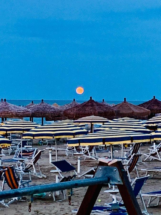 Nel Pineto Montesilvano Marina